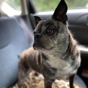 Meet your Posher, Jake